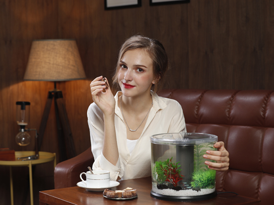 1604648863312401.jpg 25.jpg